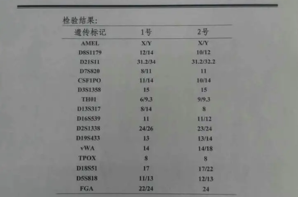 6位点对照图