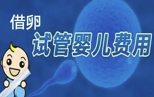 借卵做试管的费用