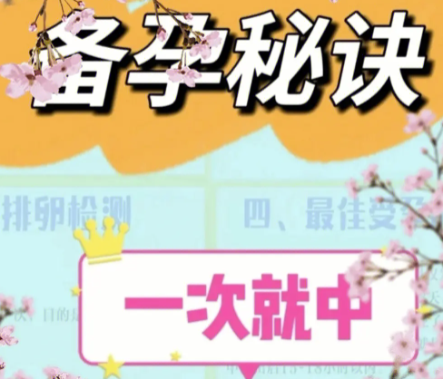 怀孕最快方法一次就中