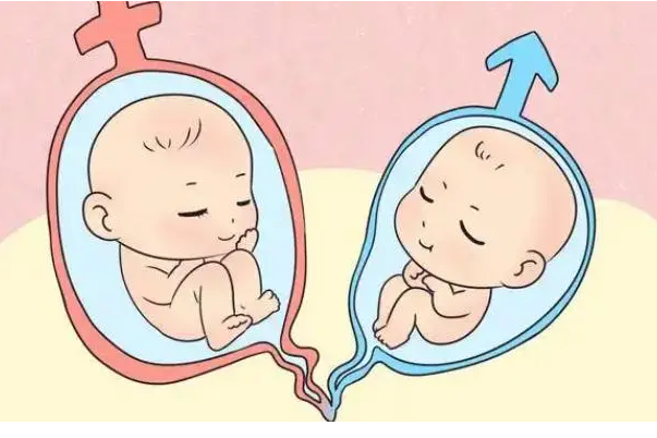 身体好的人3个月可成功怀孕