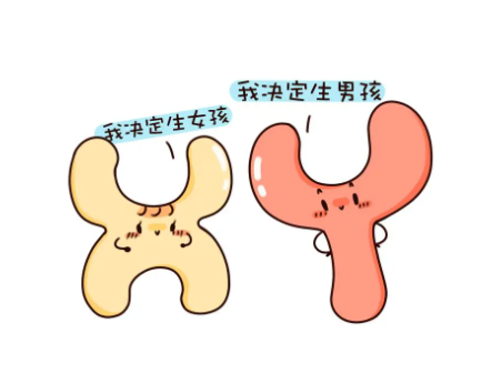 第三胎想要儿子可以去医院做试管怎么才能合法？