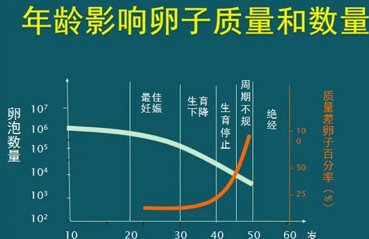 国内第三代试管的成功率.png