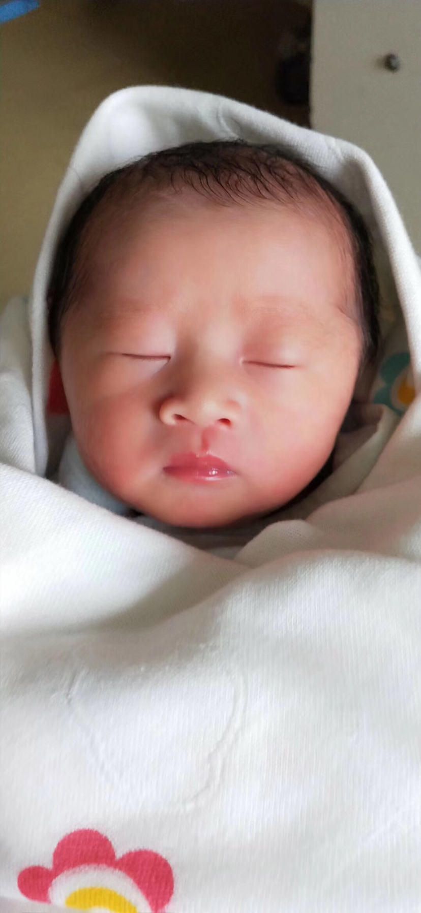 试管婴儿图片