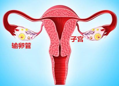 话题图标