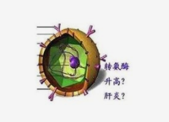 话题图标