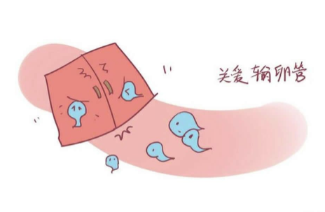 输卵管不孕，怎么办？能治好吗？
