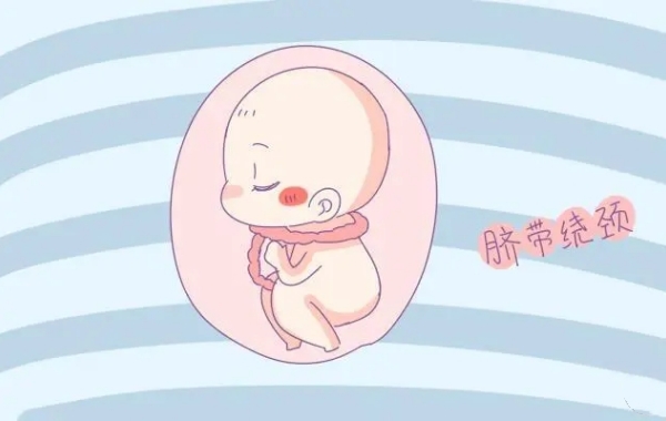 胎位不正的时候需要采取胸膝卧位纠正方法
