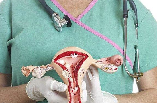 女性正常子宫形态