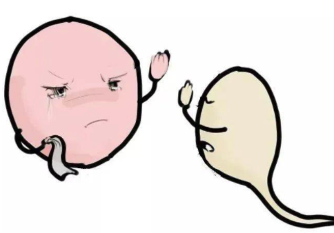 [受精卵不着床是什么原因造成的]