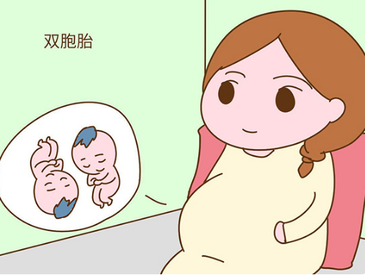 自然怀双胞胎的几率比较小