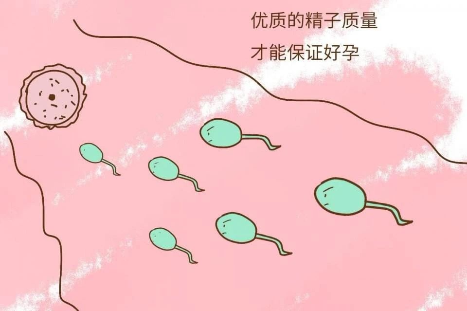 精子质量不行的通知