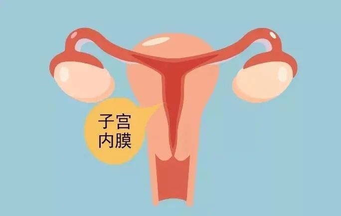 子宫内膜厚度不均