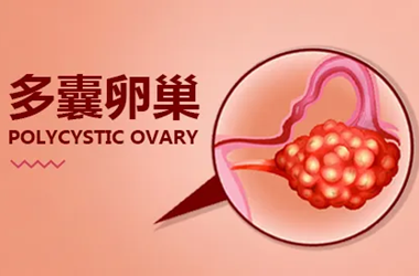 多囊孕酮低建议做试管吗