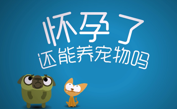 央视辟谣怀孕不能养宠物