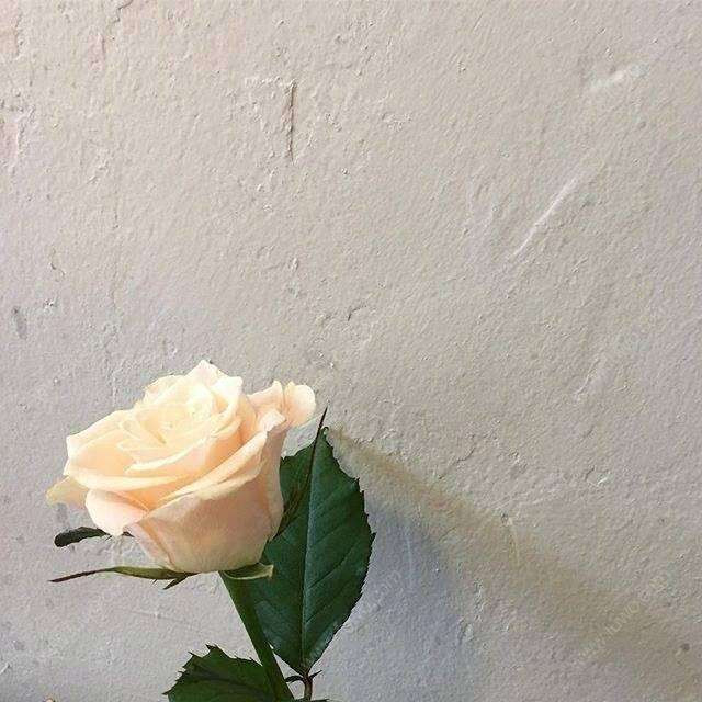 糖果妈咪头像