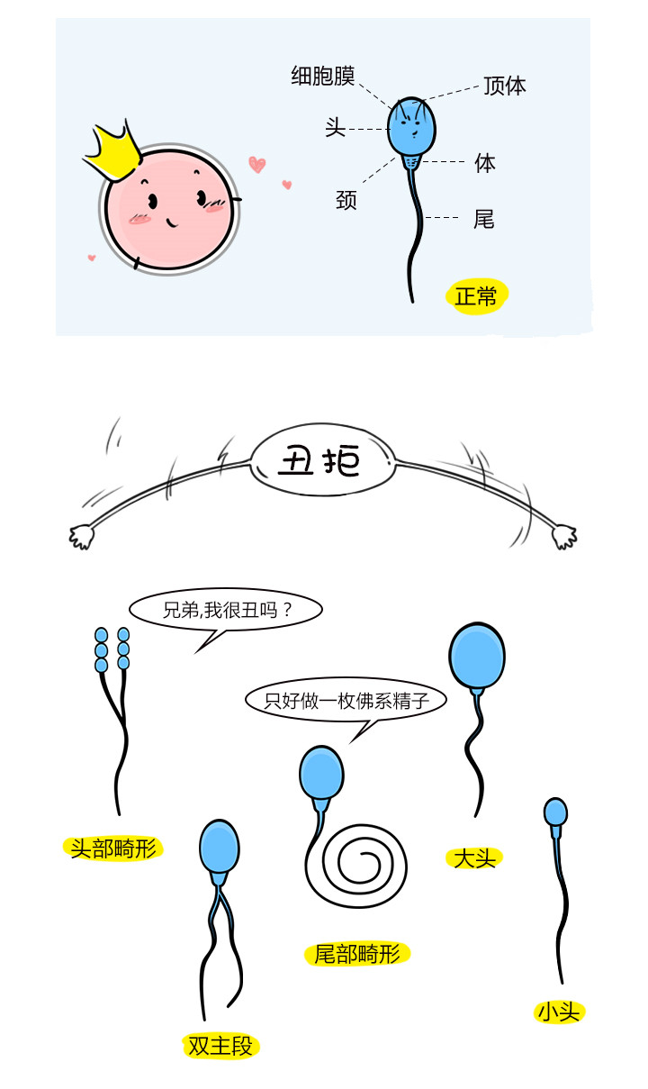 微信图片_20180117110108_副本.jpg