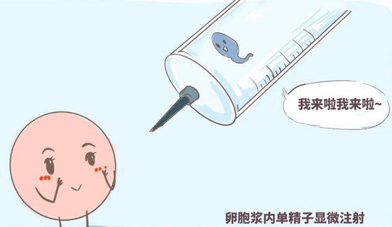 $%]98PX5FLXSRALSUSEMW34.png