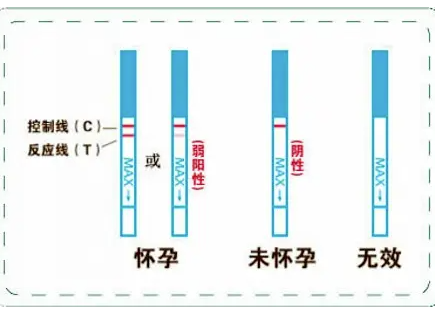 怀孕两个月试纸变浅了.png