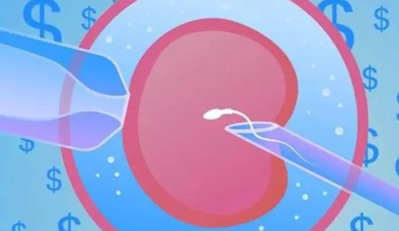 第三代试管的成功率.png