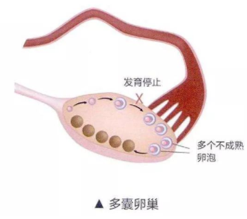 话题图标