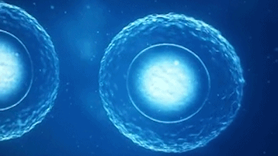 t01e7470b8761b26227.gif