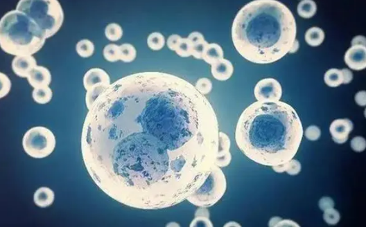 精子质量差会影响授精失败