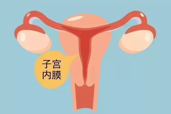 甲钴胺片可促进内膜发育