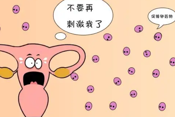 试管连续失败会导致卵巢过度刺激综合征