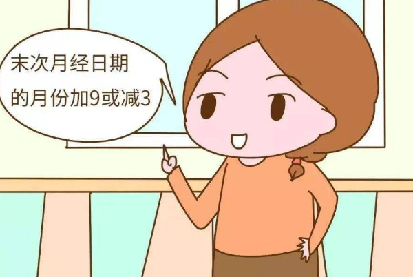 末次月经的月份加9是预产期月份