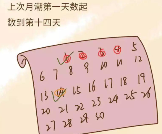 排卵24小时同房易生男孩