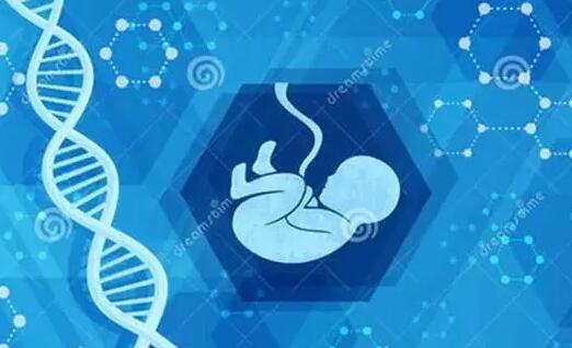 神州中泰孕育中心：信赖与专业并存的选择？