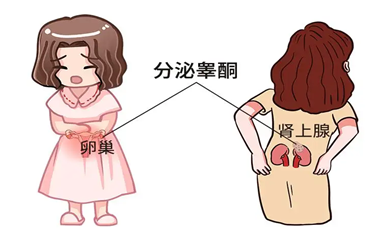 ZM0IFH}W`HZI0KLLBMYP~WX.png