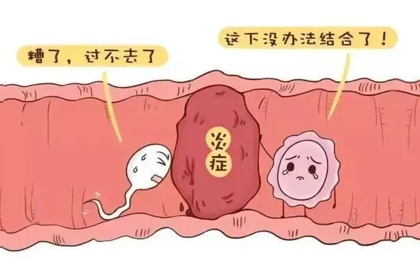 先排卵还是先出现白带拉丝