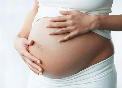 [借卵生子好还是领养好]