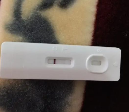 移植后前两周是白板期