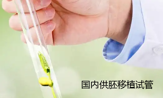 国内供胚移植试管合法吗.png