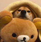 咖啡头像