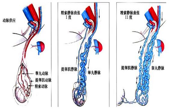 话题图标