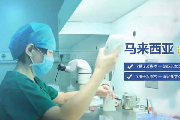 去马来西亚前要办签证