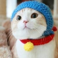 喵(&gt;^ω^&lt;)头像