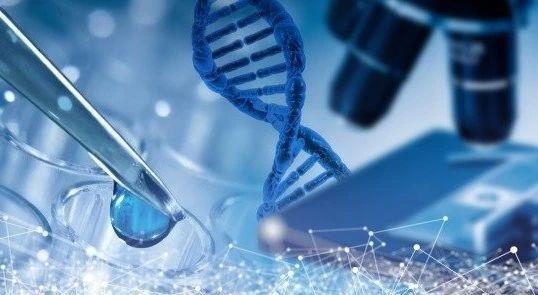 长方案和短方案有什么区别