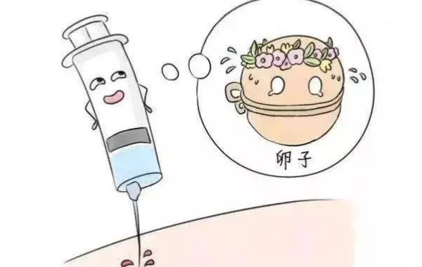 降调减少基础卵泡理由