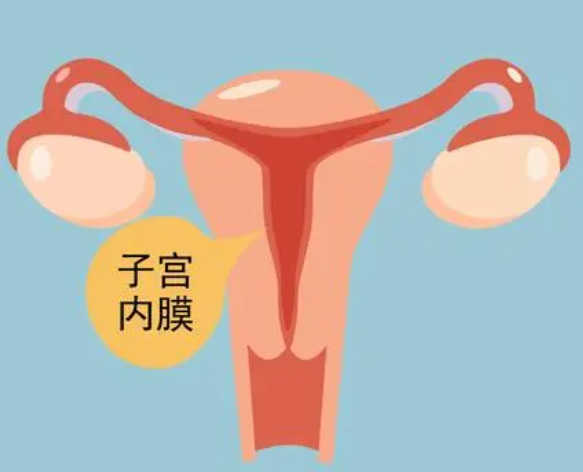 内膜7毫米适合移植