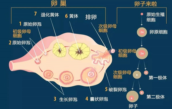 98c8a1ab4d944887577d9f755f8d4abb1b26c.png