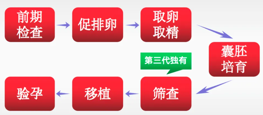 第三代试管婴儿的流程和时间.png