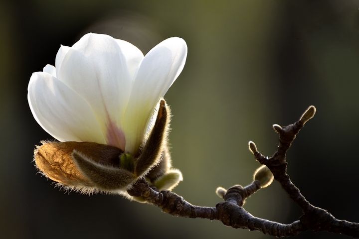 a0b76201805291450044840.jpg