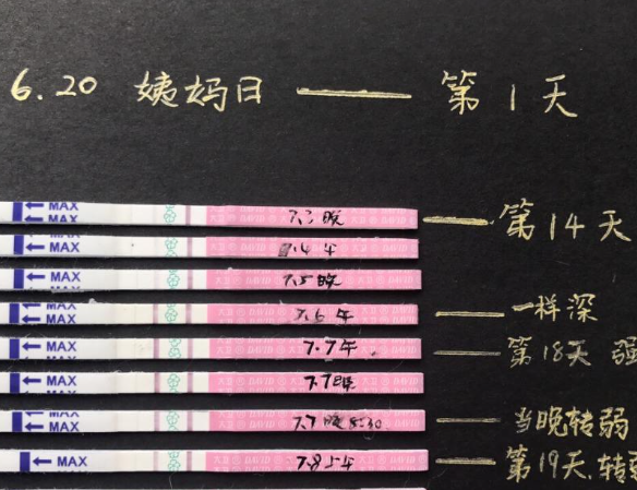 排卵期备孕成功几率高
