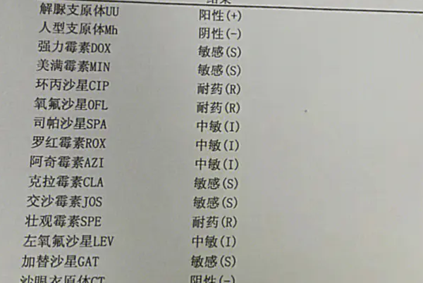 支原体检测要花200元