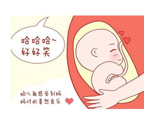 试管婴儿相关图片