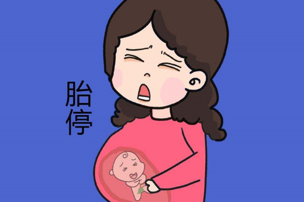 高龄做试管会有胚胎停育风险